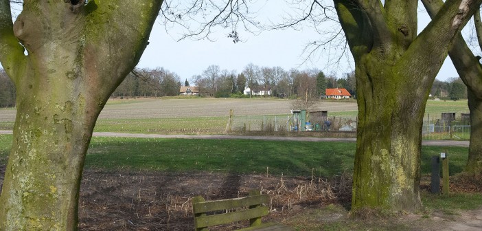 Commissie grondgebied positief over plannen Beukenlaan Beukenlaan Holten